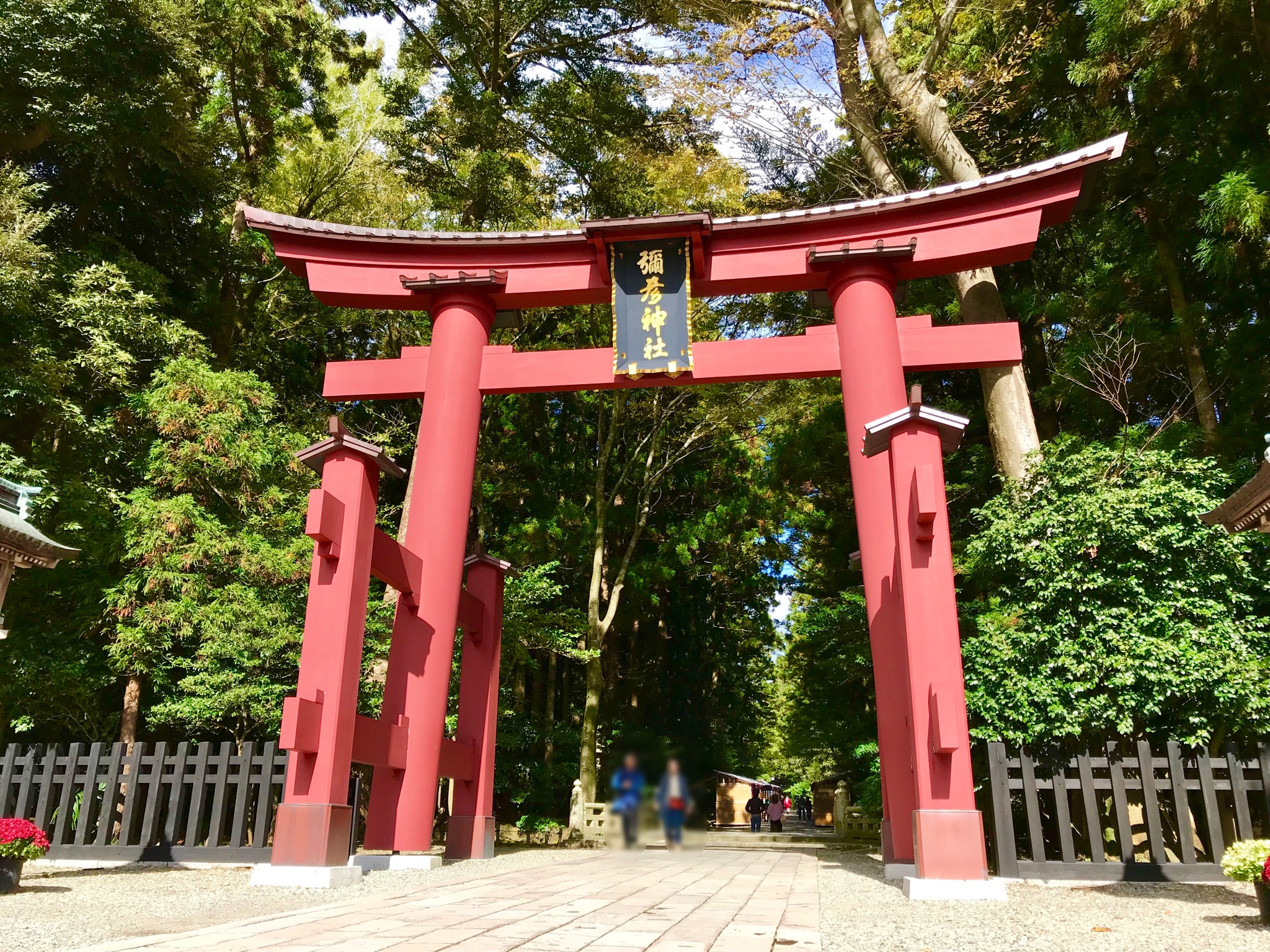 新潟人氣第一的神社『彌彥神社』美不勝收的風景～像是進入了宮崎駿的 ...